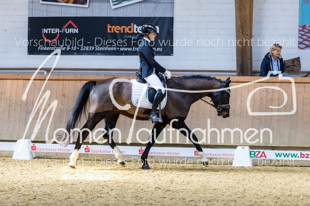 Sth-LPO25-DrR-L-159 | MomenTaufnahmen Pferdesportfotos