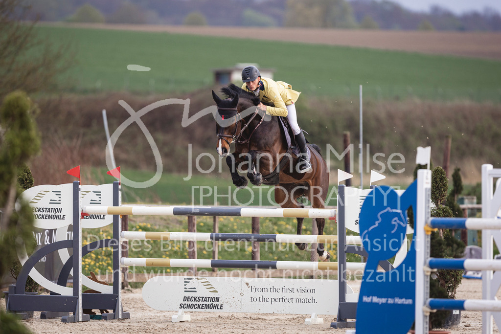 250416_S-Springen-505 | Deine schönsten Turniermomente als professionelle Fotos! Entdecke hochwertige Pferdesport-Fotografie im Online-Shop. Jetzt Fotos finden & bestellen!