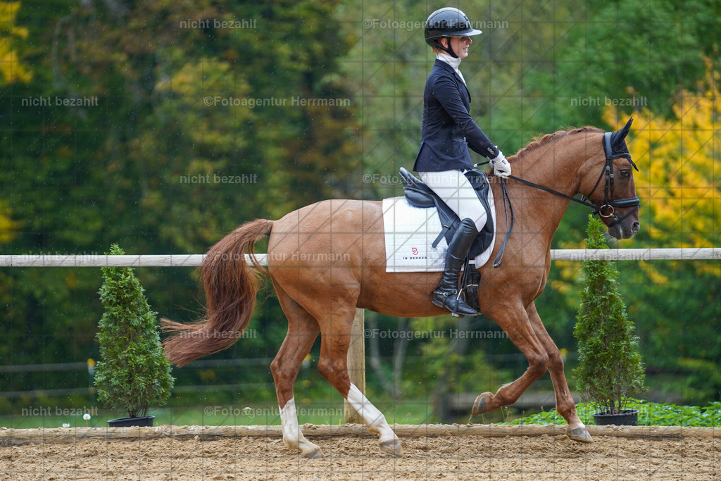 20221008-FAH01852 | Diessen am Ammersee, 2022, Dressur- und Springturnier, Reitsportbilder, Turnierfotografen Bayern, Pferdefotografen, Fotoagentur Herrmann, Turnierbilder