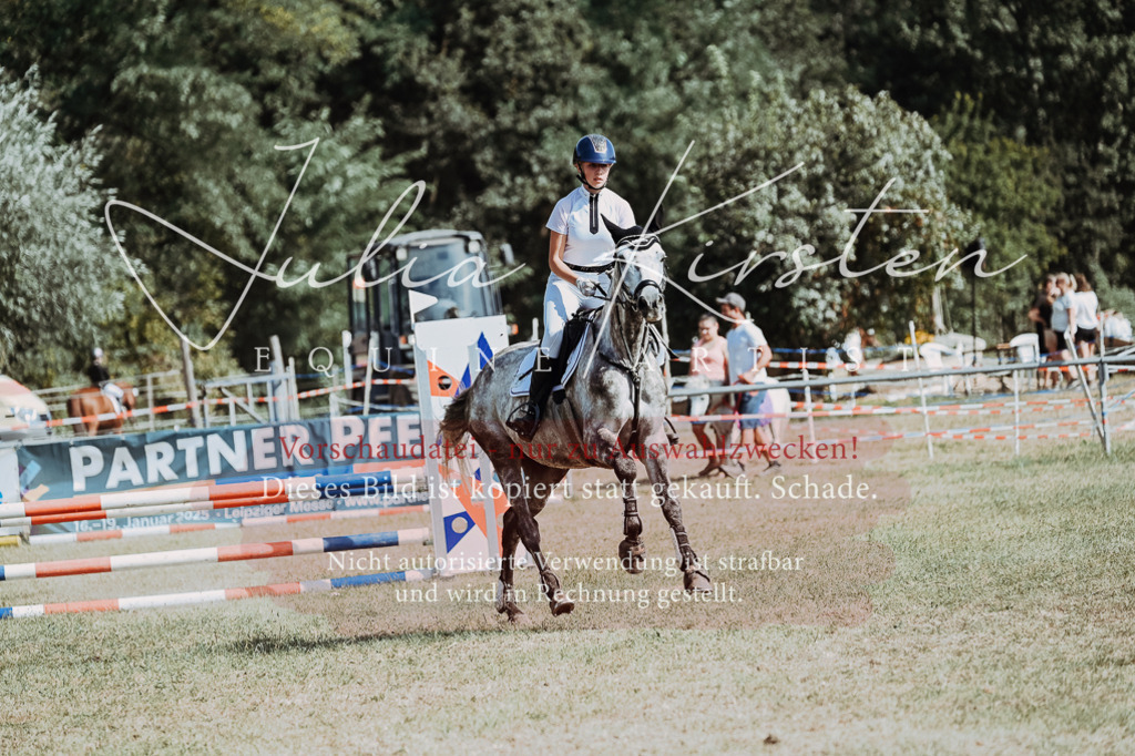 DSC_9322 | Pferde- und Turnierfotografie in Westsachsen. Pferdeportraits, Auftragszeichnungen und intuitive Kunst.
