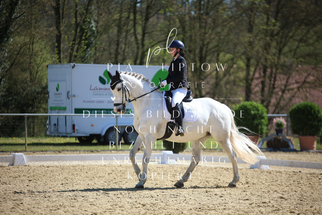 IMGT8107 | pl-fotografie