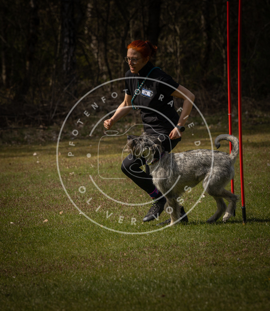 Pfotenfotografie_DV3A4562 | Hundefotografie, Tierfotograf, Pfotenfotografie, Fotoshooting Hund, Hunde Portrait, Hundesport, Hundeportraits, Heideshooting, Hunde, Sportfotograf, Hundefotograf, Turnierhundsport, THS,  - Realisiert mit Pictrs.com
