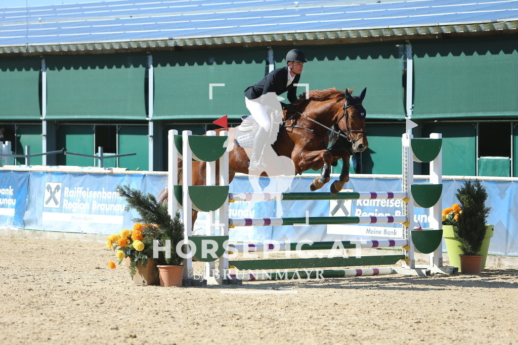 DL2Q1142 | Willkommen bei Brunnmayr - Design & Fotografie – Ihrem Spezialisten für Reitturniere und Pferdeveranstaltungen in Oberösterreich, Salzburg und Bayern! Seit über 17 Jahren sind wir leidenschaftlich dabei.