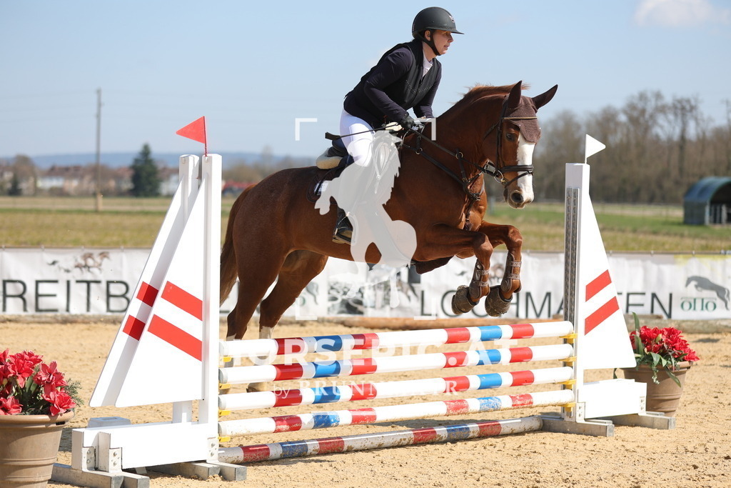 0P6A6804 | Willkommen bei Brunnmayr - Design & Fotografie – Ihrem Spezialisten für Reitturniere und Pferdeveranstaltungen in Oberösterreich, Salzburg und Bayern! Seit über 17 Jahren sind wir leidenschaftlich dabei.