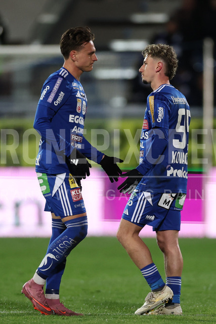 TSV Egger Glas Hartberg vs SV Oberbank Ried – Austrian Bundesliga Match | The image shows Lukas Fridrikas (Hartberg) and Damjan Kovacevic (Hartberg) make a change, at the Bundesliga match TSV Hartberg vs SV Ried at Profertil Arena Hartberg. 22.11.2025