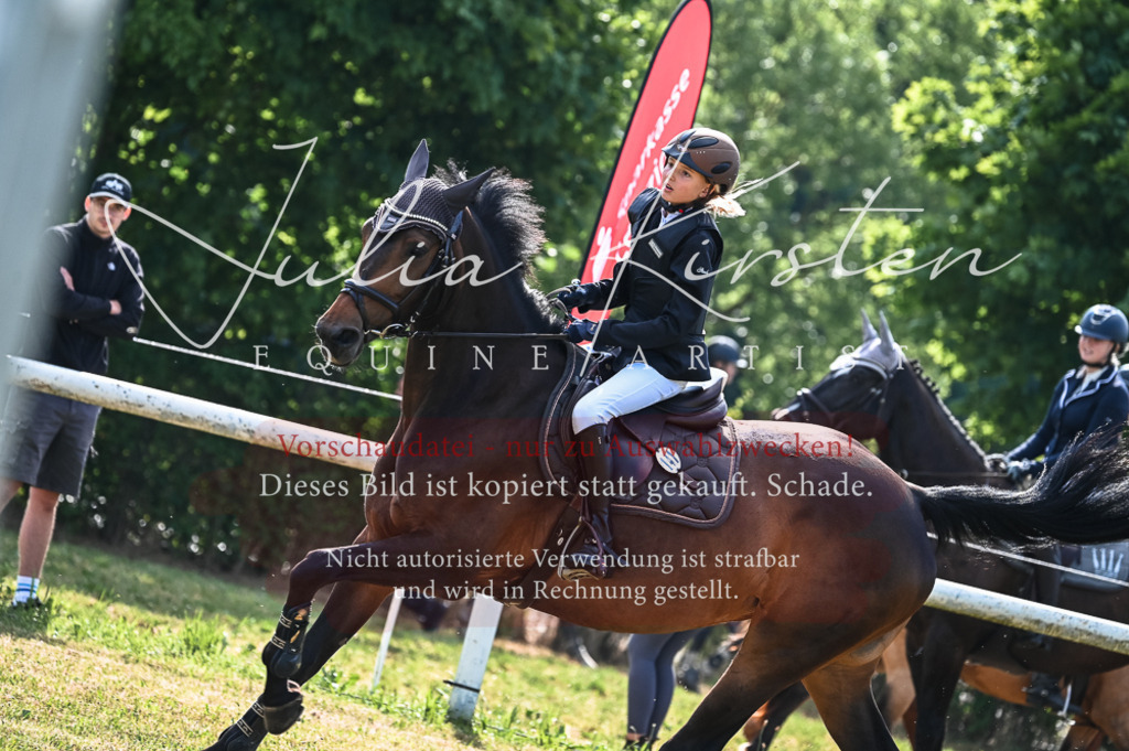 DSC_7984 | Pferde- und Turnierfotografie in Westsachsen. Pferdeportraits, Auftragszeichnungen und intuitive Kunst.