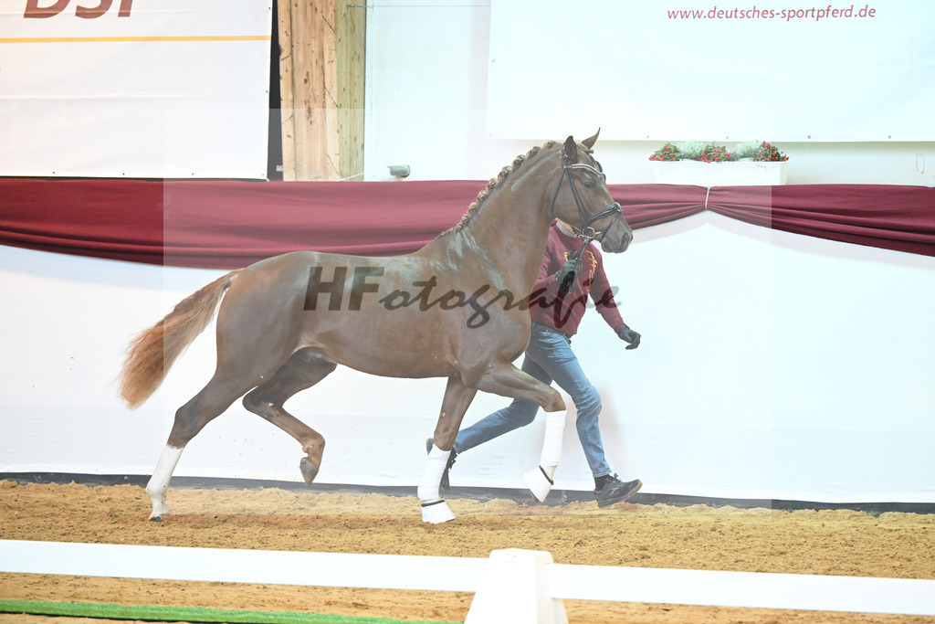 Kat-Nr. 74 v. Le Formidable_Maier_66220316 | hf-fotografie - Realisiert mit Pictrs.com