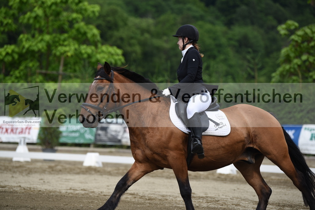 DSC_8300 | equestrian-live-com