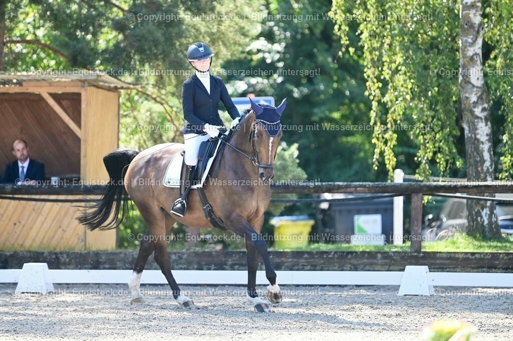 20230908_06_Dressur-L-Trense_0441 | equistock