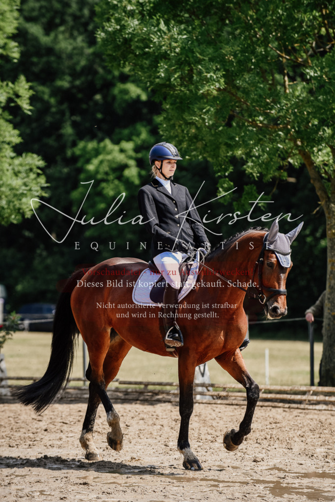 DSC_1125 | Pferde- und Turnierfotografie in Westsachsen. Pferdeportraits, Auftragszeichnungen und intuitive Kunst.