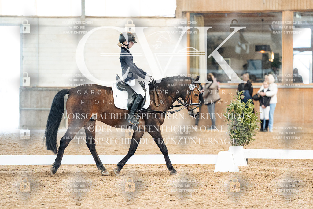 CK900407 | Turnierfotografie Pferdefotografie Trier Rheinland-Pfalz Pferdesport Reitsport Tierfotografie Sportfotografie Pferdevideo Pferdevideografie Equestrianvideography equestrianphotography  - Realized with Pictrs.com