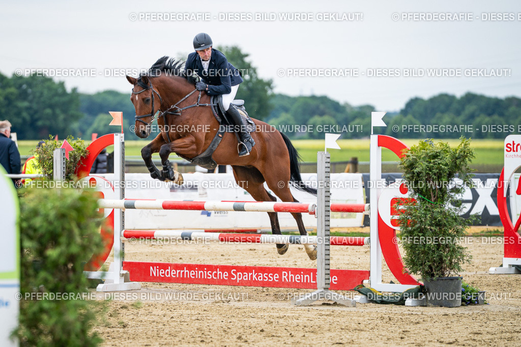 DSC05203 | Pferdegrafie