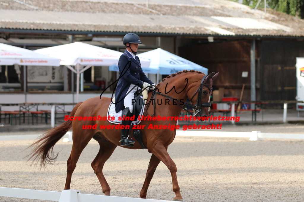 IMG_6003 | lmwpictures - Realisiert mit Pictrs.com