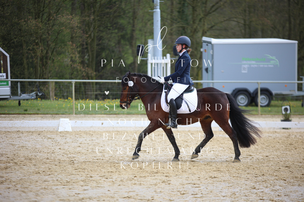 IMGT5123 | pl-fotografie