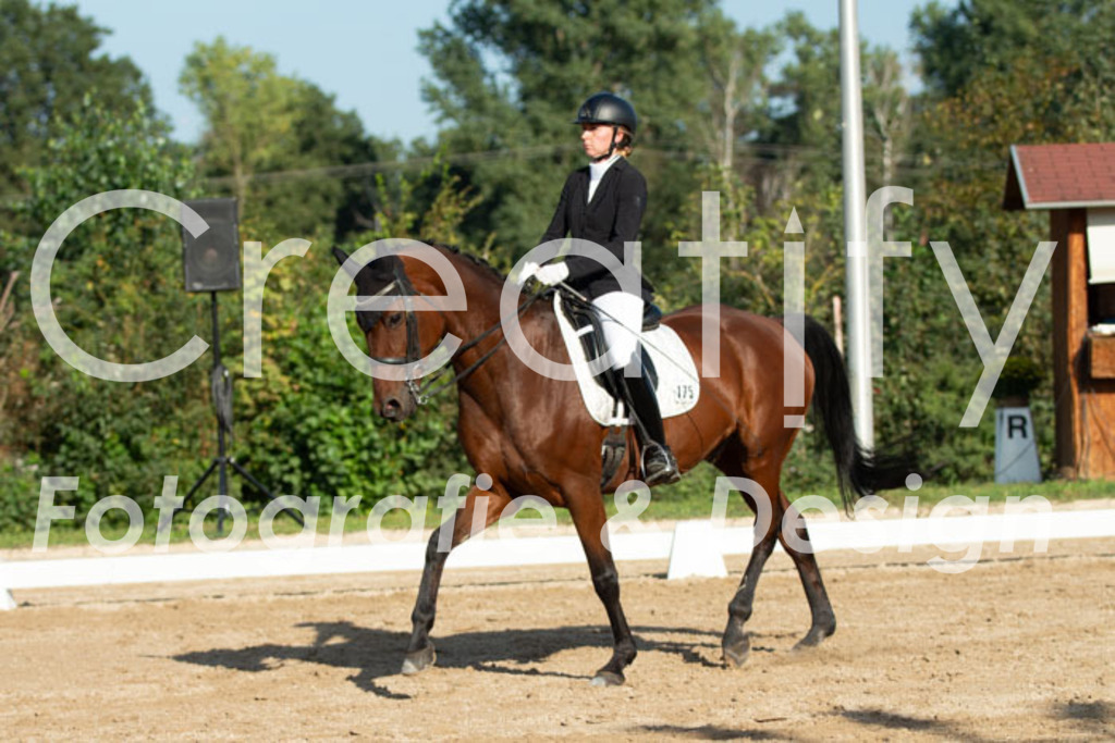 IMG_0930 | Creatify Fotografie