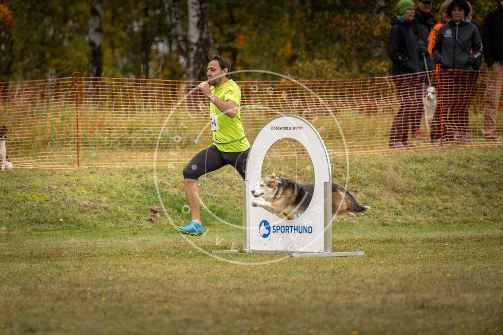 Pfotenfotografie_DV3A5667 | Hundefotografie, Tierfotograf, Pfotenfotografie, Fotoshooting Hund, Hunde Portrait, Hundesport, Hundeportraits, Heideshooting, Hunde, Sportfotograf, Hundefotograf, Turnierhundsport, THS,  - Realisiert mit Pictrs.com