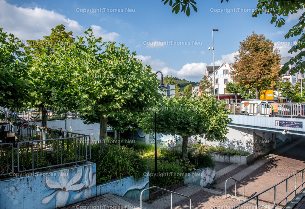DSC_6515 | Der Bahnhof Bensheim ist ein wichtiger Verkehrsknotenpunkt an der Hessischen Bergstraße. Die Bilder zeigen Gleisanlagen, Bahnsteige, Züge und die Architektur des Bahnhofs im Wandel der Zeit. Fotografien aus dem Alltag des Bahnverkehrs und dem Stadtbild von Bensheim.