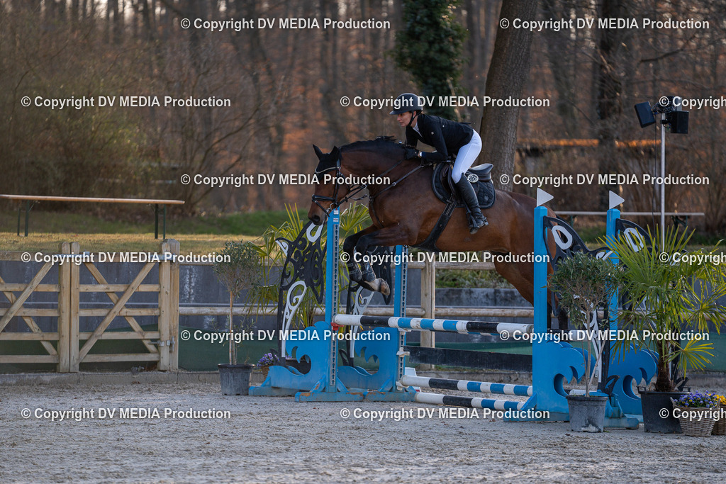 DSC-230 | dv-media-shop - Realisiert mit Pictrs.com