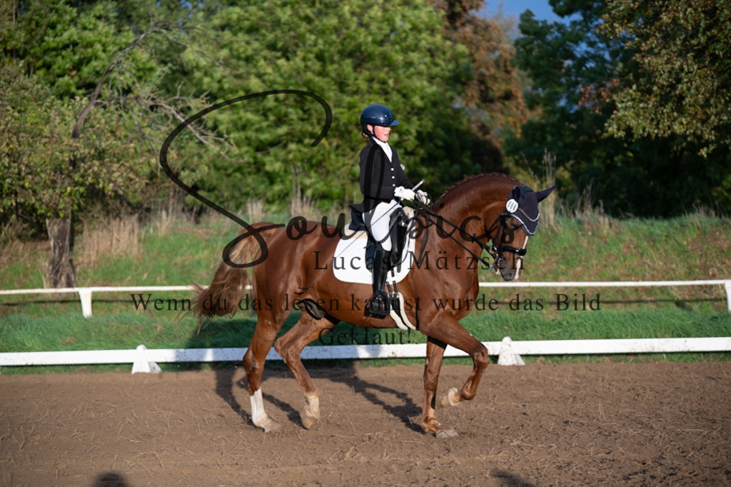 A7V06100 | Pferdefotograf