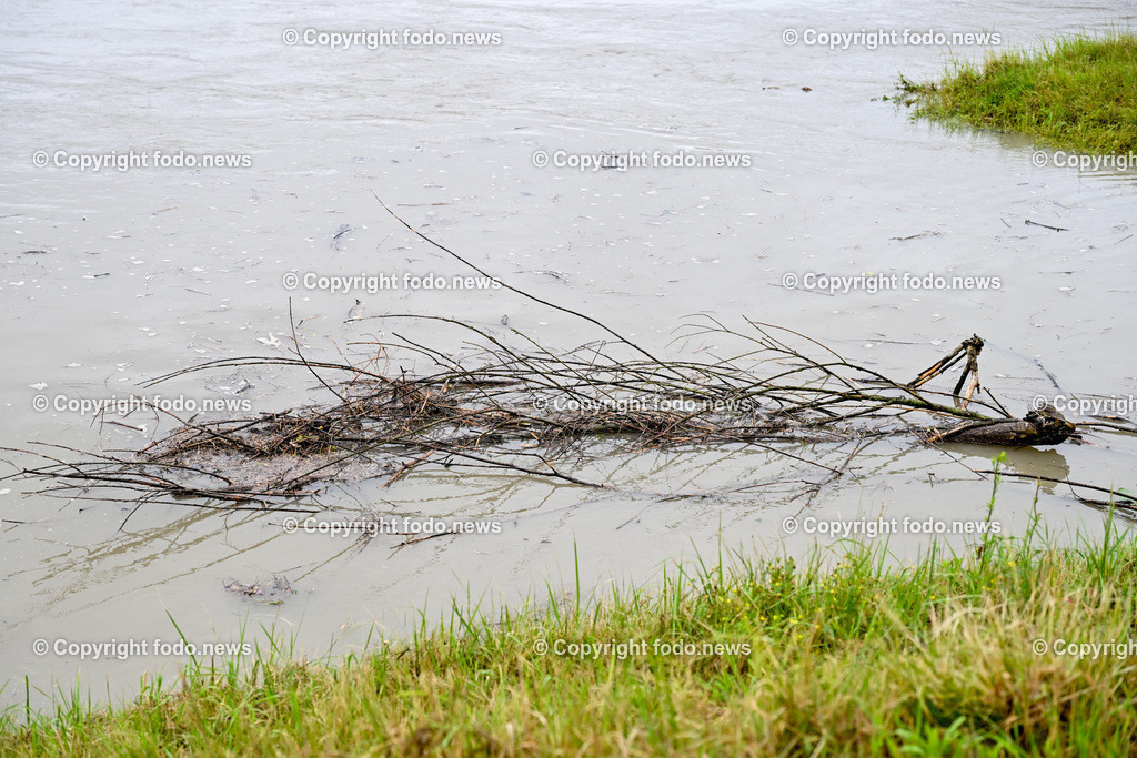 Linz_ Urfahr_ Hochwasserschutz_ 02.06.2024-20 | 02.06.2024, Linz, AUT, Urfahr, Hochwasser, im Bild Vorbereitung Hochwasserschutz Donaulaende Linz Urfahr, Hochstand Donau, Treibholz