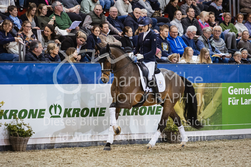 250108_Muenster_Hengstpräsentation-167 | Deine schönsten Turniermomente als professionelle Fotos! Entdecke hochwertige Pferdesport-Fotografie im Online-Shop. Jetzt Fotos finden & bestellen!