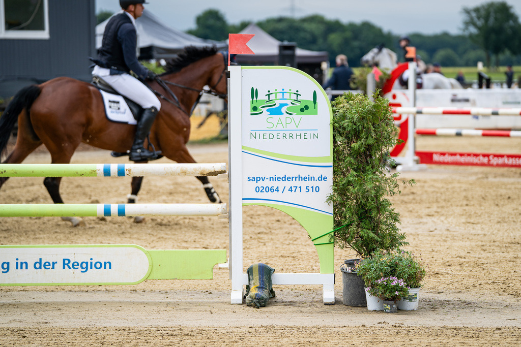 DSC04831 | Pferdegrafie