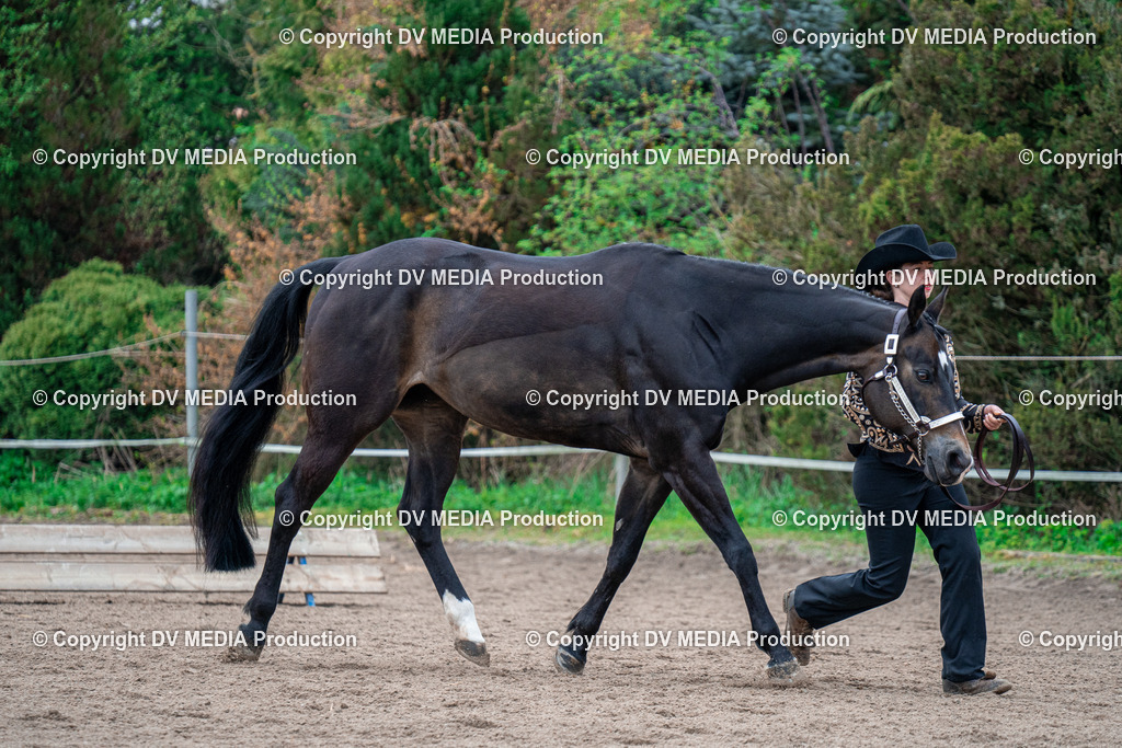 BA300203 | dv-media-shop - Realisiert mit Pictrs.com