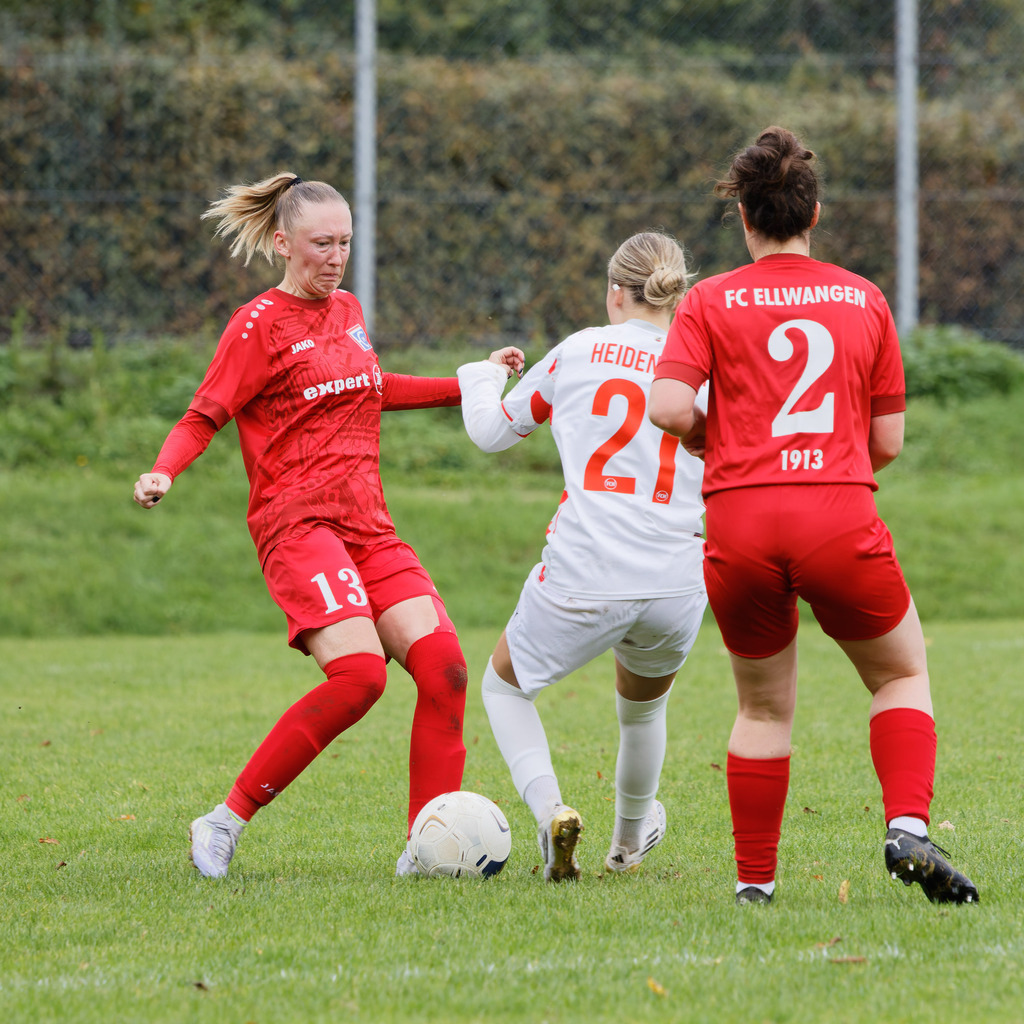 FCEFCH_251012_2933 | Fotopresso – Sportfotografie in Heidenheim & Umgebung. Professionelle Sportfotografie für unvergessliche Momente. Dynamische Action-Shots, emotionale Szenen & hochwertige Bilder. - Realisiert mit Pictrs.com