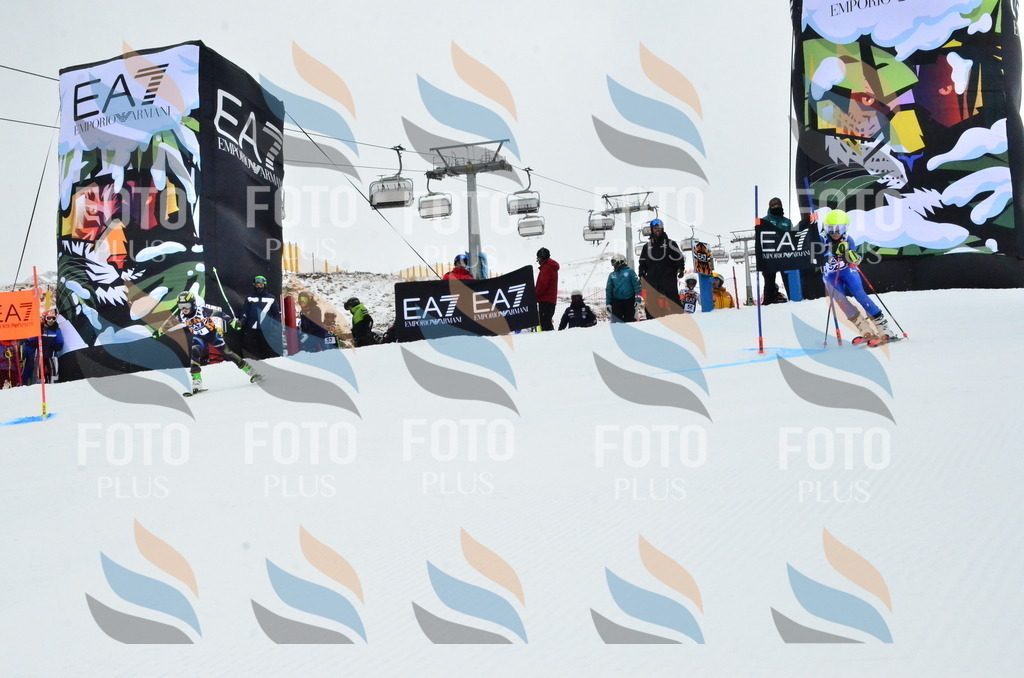 _ELE3393 | holidayphoto