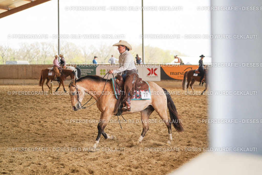 DSC01845 | Pferdegrafie