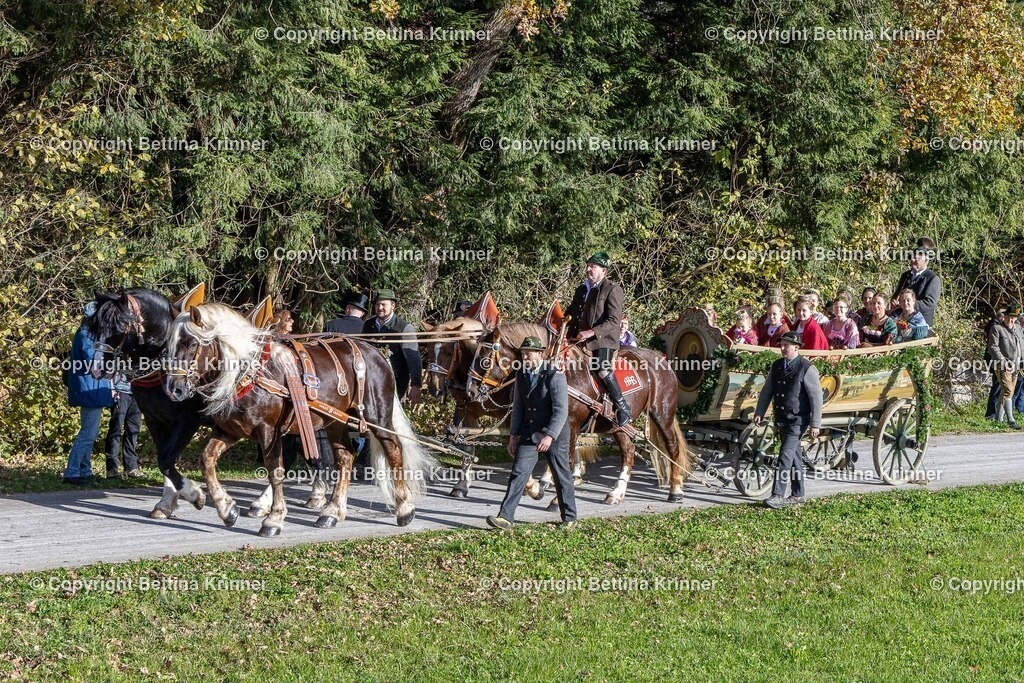 LBT24-676 | foto-bettina-krinner - Realisiert mit Pictrs.com