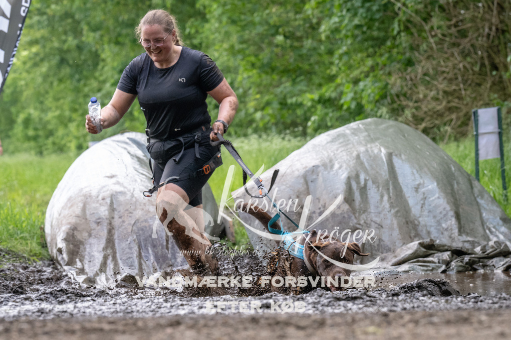 1238_ZZ92742 | kk-dogfotos