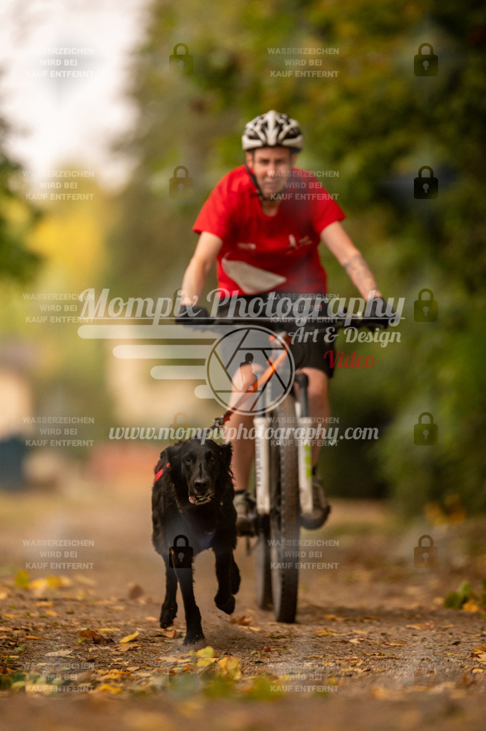 CDLBDB_14_10_2023_Samedi-97 | PayLife