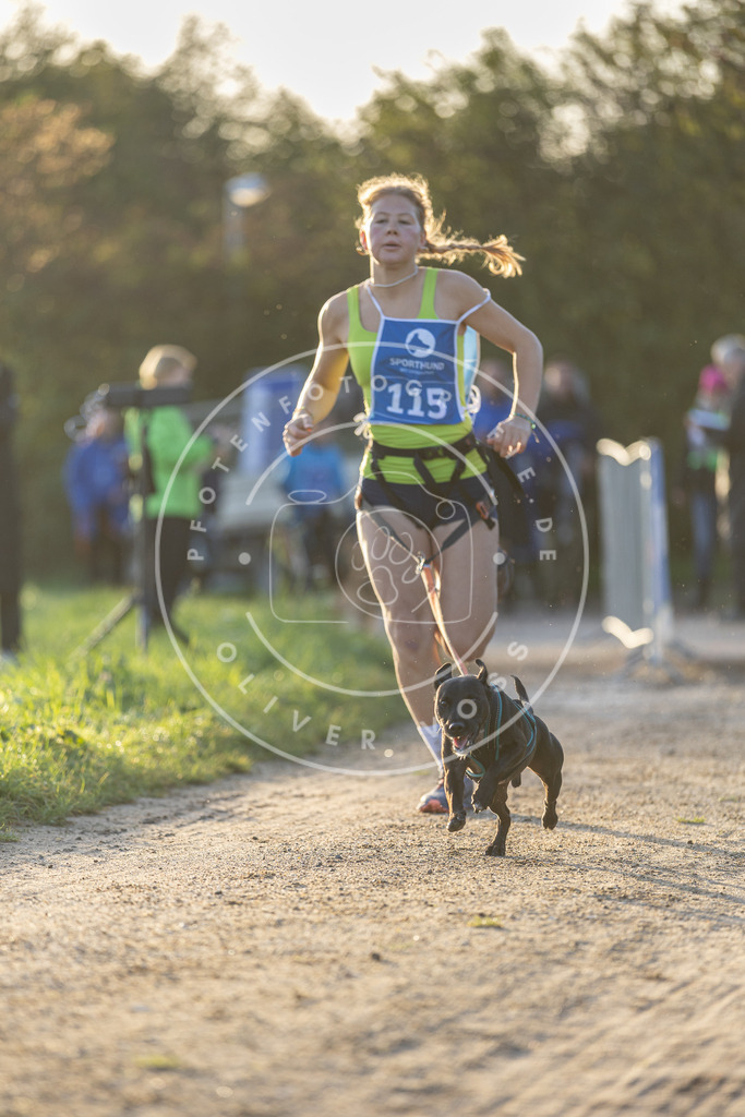 Pfotenfotografie.de_DV3A2456 | Hundefotografie, Tierfotograf, Pfotenfotografie, Fotoshooting Hund, Hunde Portrait, Hundesport, Hundeportraits, Heideshooting, Hunde, Sportfotograf, Hundefotograf, Turnierhundsport, THS, canicross - Realisiert mit Pictrs.com
