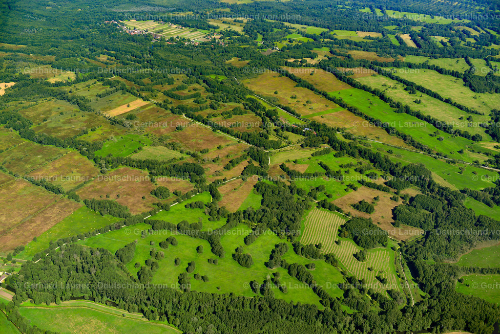 3637264 | LEIPE 25.08.2016 Grasflächen- Strukturen einer Wiesen- und Feld Landschaft in der Auen- Niederung  in Leipe im Spreewald im Bundesland Brandenburg, Deutschland // Grassland structures of a meadow and field landscape in the lowland  in Leipe at Spreewald in the state Brandenburg, Germany Foto: Gerhard Launer