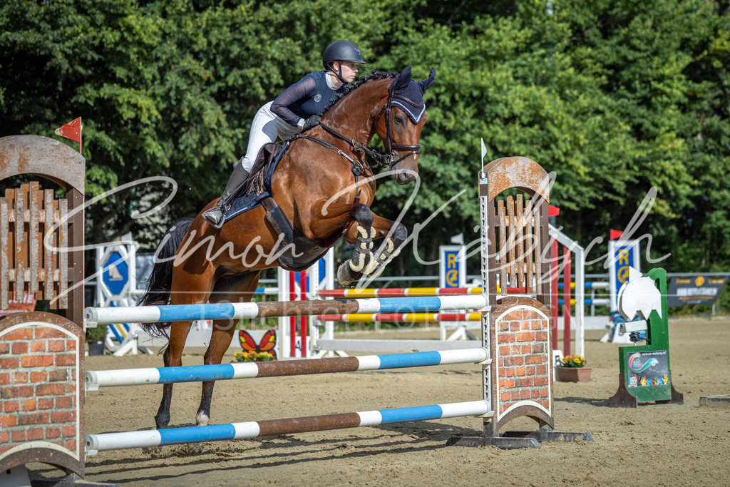 20260704-_3LI2119 | Tierfotografie Pferde, Hunde, Katzen, Haustiere.
Turnierfotografie Reitturniere, Reiten, Springreiten, Dressur in Hanau, dem Main-Kinzig-Kreis und dem Rhein-Main- Gebiet um Frankfurt