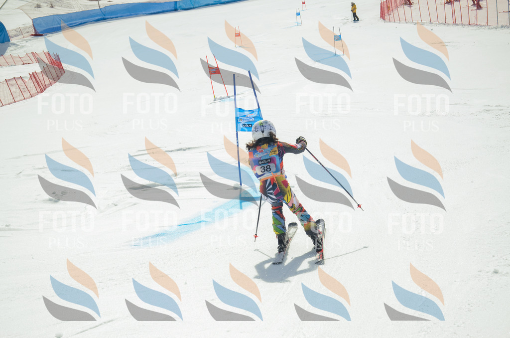 _ELE4994 | holidayphoto