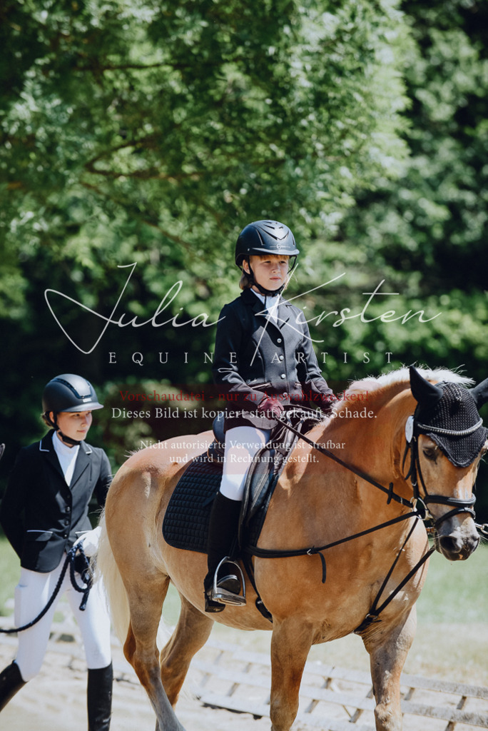 DSC_2100 | Pferde- und Turnierfotografie in Westsachsen. Pferdeportraits, Auftragszeichnungen und intuitive Kunst.