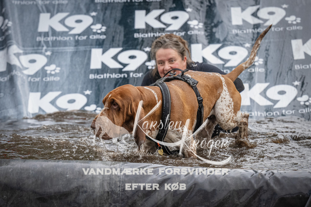 1157_ZZ93949 | kk-dogfotos