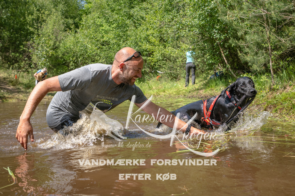 DK K991967141428 | kk-dogfotos