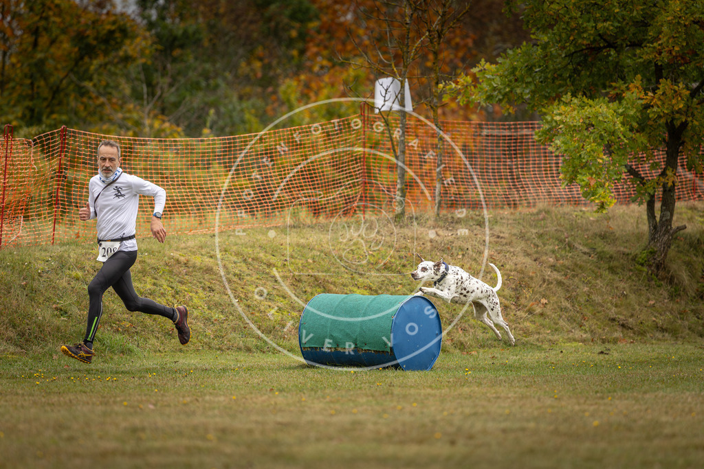 Pfotenfotografie_DV3A2692 | Hundefotografie, Tierfotograf, Pfotenfotografie, Fotoshooting Hund, Hunde Portrait, Hundesport, Hundeportraits, Heideshooting, Hunde, Sportfotograf, Hundefotograf, Turnierhundsport, THS,  - Realisiert mit Pictrs.com