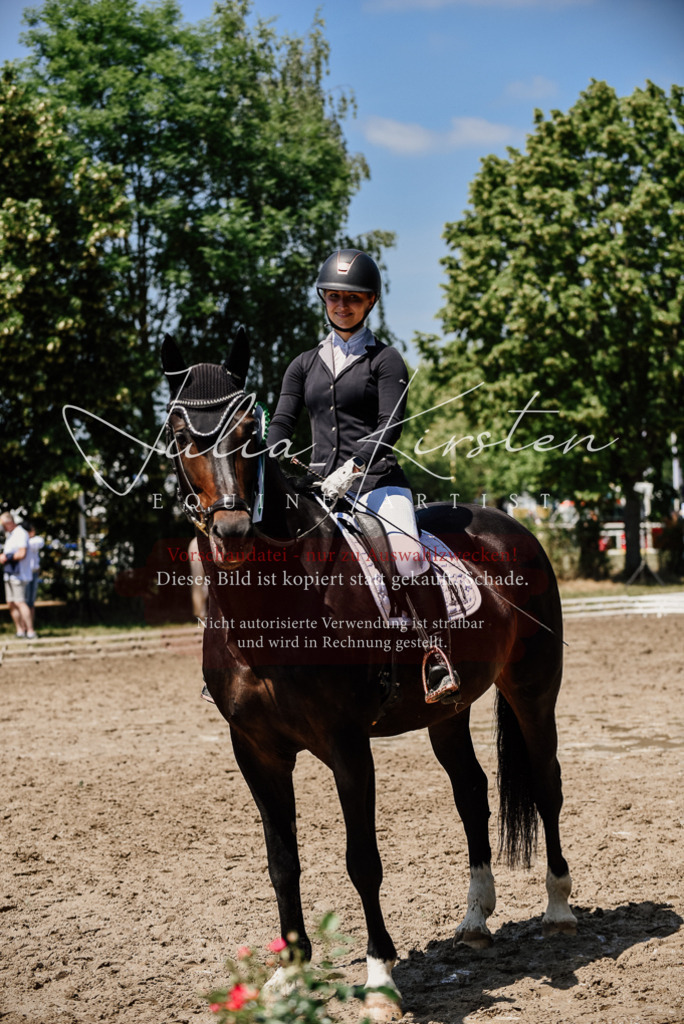DSC_2055 | Pferde- und Turnierfotografie in Westsachsen. Pferdeportraits, Auftragszeichnungen und intuitive Kunst.
