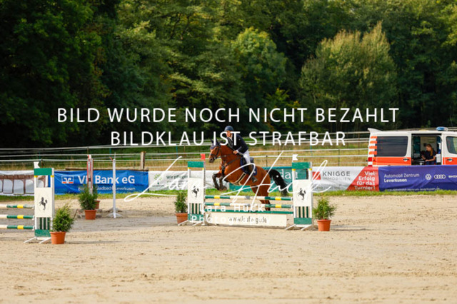 _62_9084 | larahueckfotografie