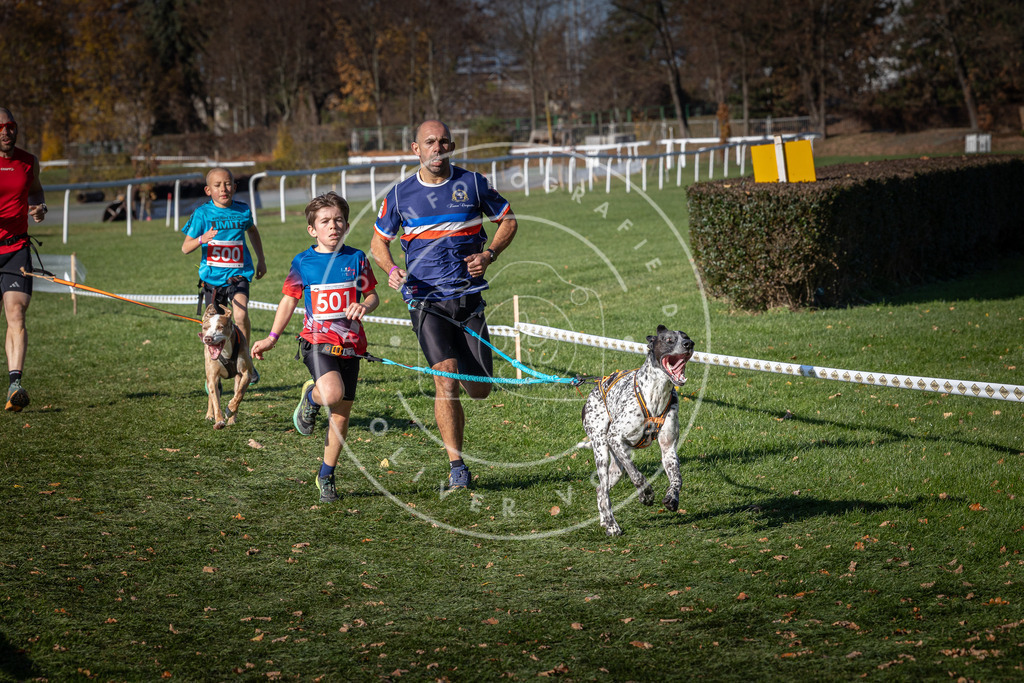 CaniXpix_0L8A6562 | Hundefotografie, Tierfotograf, Pfotenfotografie, Fotoshooting Hund, Hunde Portrait, Hundesport, Hundeportraits, Heideshooting, Hunde, Sportfotograf, Hundefotograf, Turnierhundsport, THS,  - Realisiert mit Pictrs.com