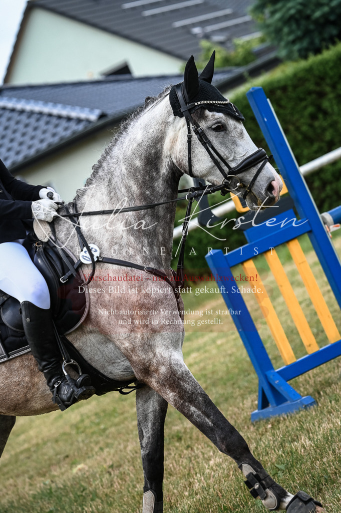 DSC_8358 | Pferde- und Turnierfotografie in Westsachsen. Pferdeportraits, Auftragszeichnungen und intuitive Kunst.