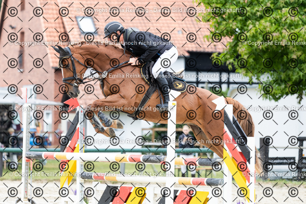 CL5A5014 | Emilia Reinking Fotografie - Realisiert mit Pictrs.com