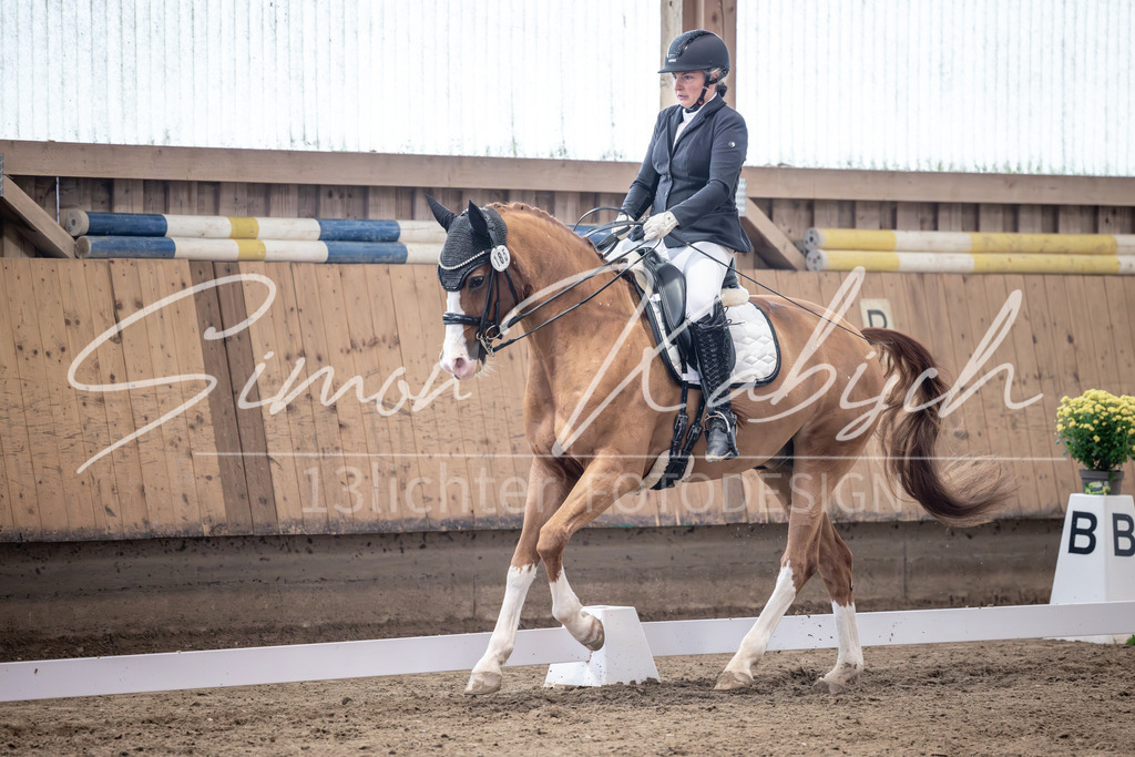 20251011-_3LI1105 | Tierfotografie Pferde, Hunde, Katzen, Haustiere.
Turnierfotografie Reitturniere, Reiten, Springreiten, Dressur in Hanau, dem Main-Kinzig-Kreis und dem Rhein-Main- Gebiet um Frankfurt
