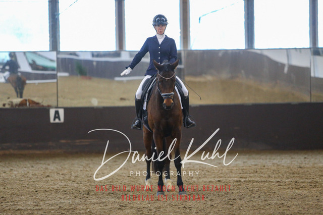 IMG_7741 | Turniersportfotografie; Pferdefotografie; Dressurfotografie