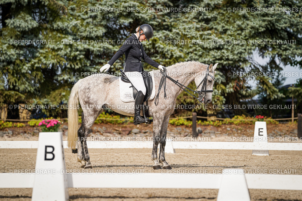 DSC07032 | Pferdegrafie