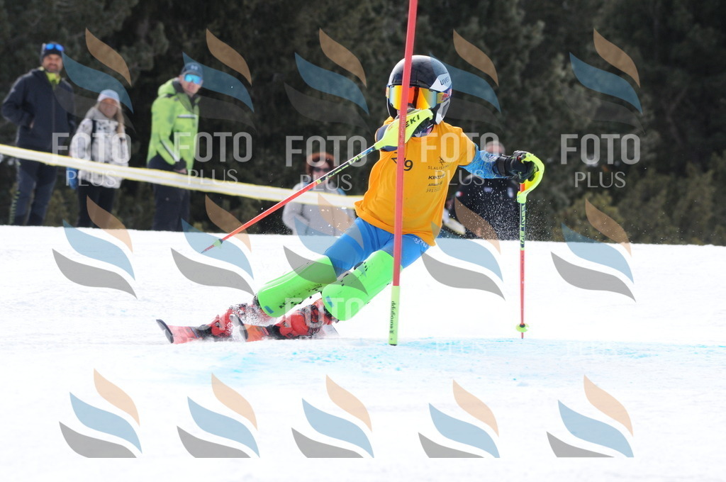 C7608 | holidayphoto